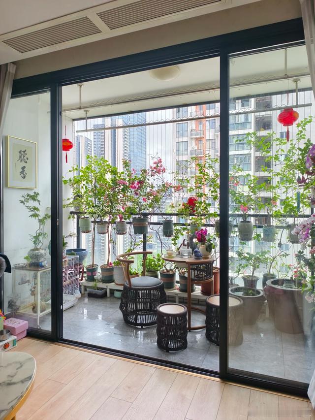 慢下来，在阳台的绿意里，接住夏天的温柔～ 