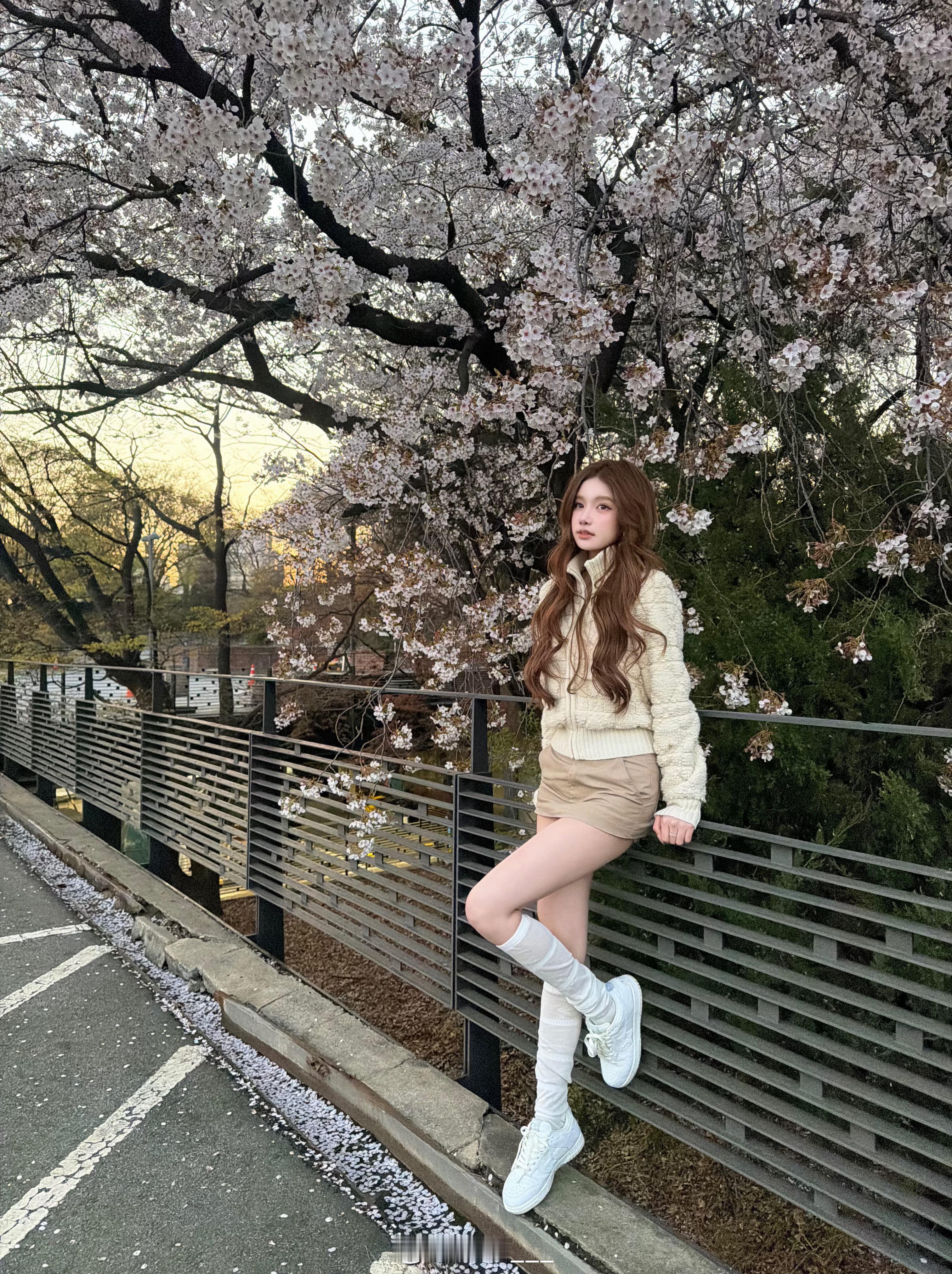 𝐒𝐚𝐤𝐮𝐫𝐚🌸 韩国·Seoul korea