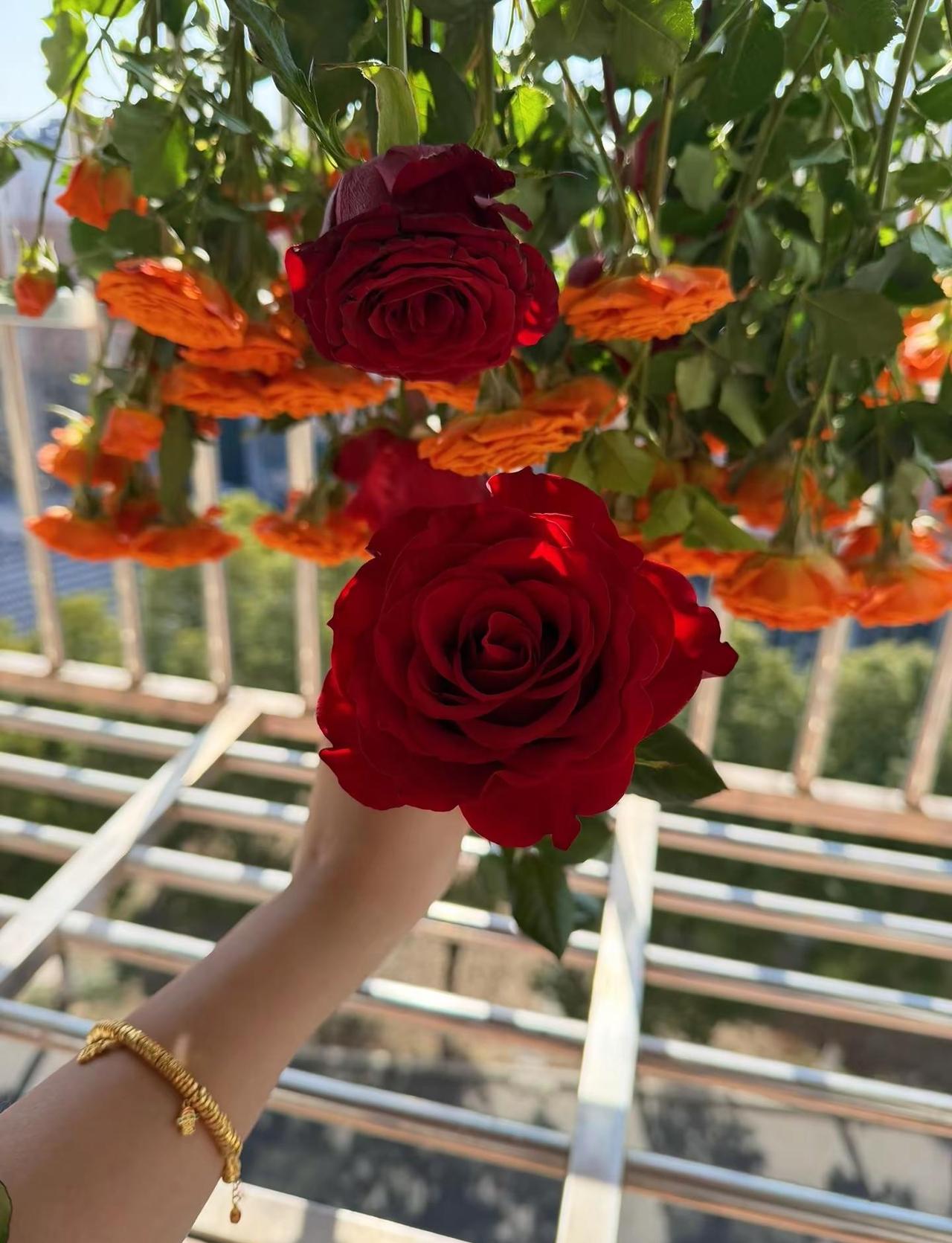 妇女节，㊗️大家早日成为富女👸妇女节 妇女节快乐