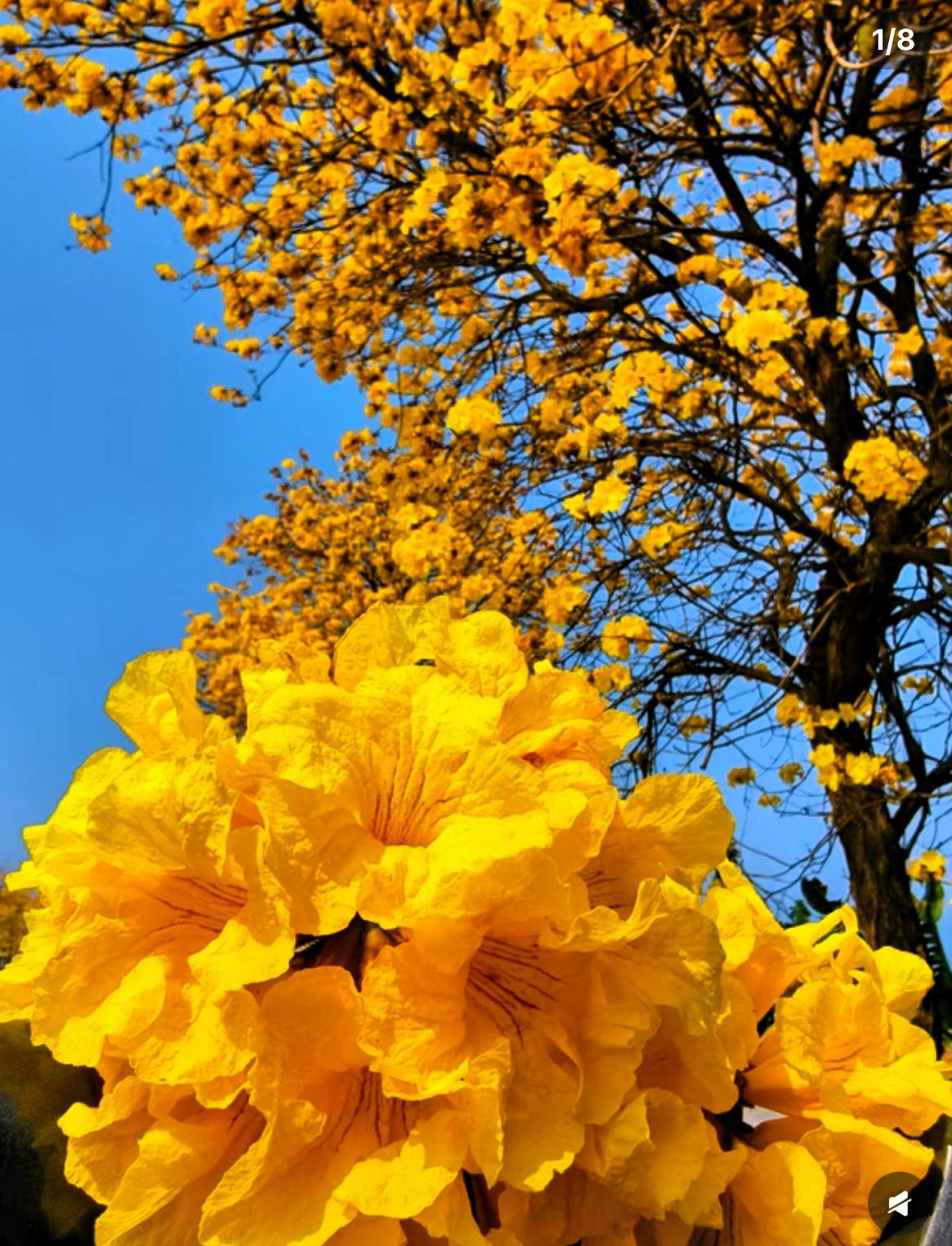 问全天下女人一个问题，
摸着良心说，不许说谎。如果你的男人背叛了你，在外面有了别