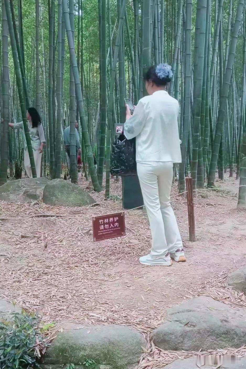 到哪儿都少不了眼瞎、不识字的人。[捂脸]