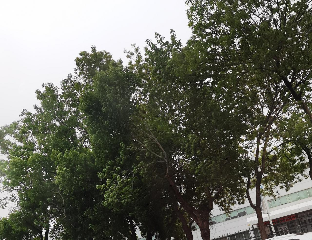 春天真的很美