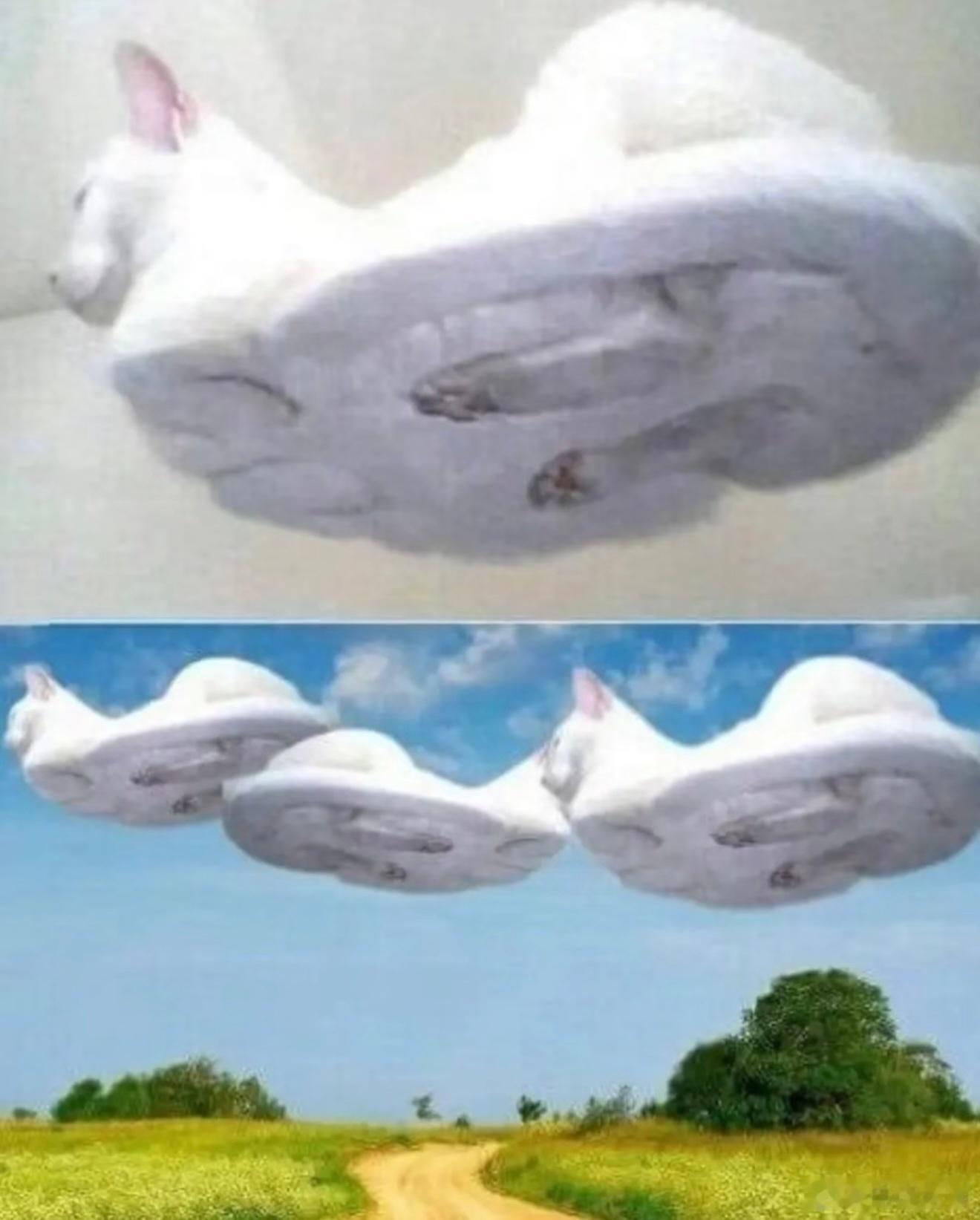 留下一张图 什么都不说的走了 