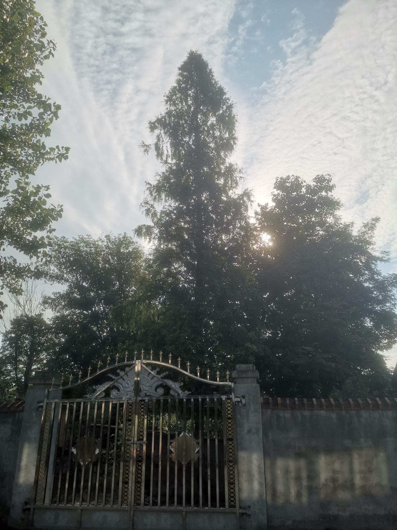昨天天气预报小雨转中雨，晚上九点二十几分的时候，下了十分钟雨后，停止了。
今天天