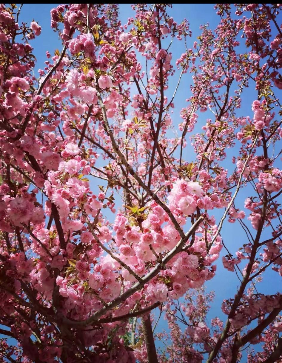 现在有的人总喜欢拍抖音，其实他想记录自己美好的生活，留个回忆。毕竟这样还是比较动