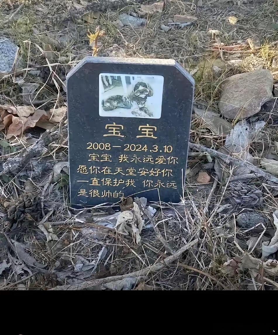 爬山时看到这一幕，这种行为你怎么看？能理解吗？ 