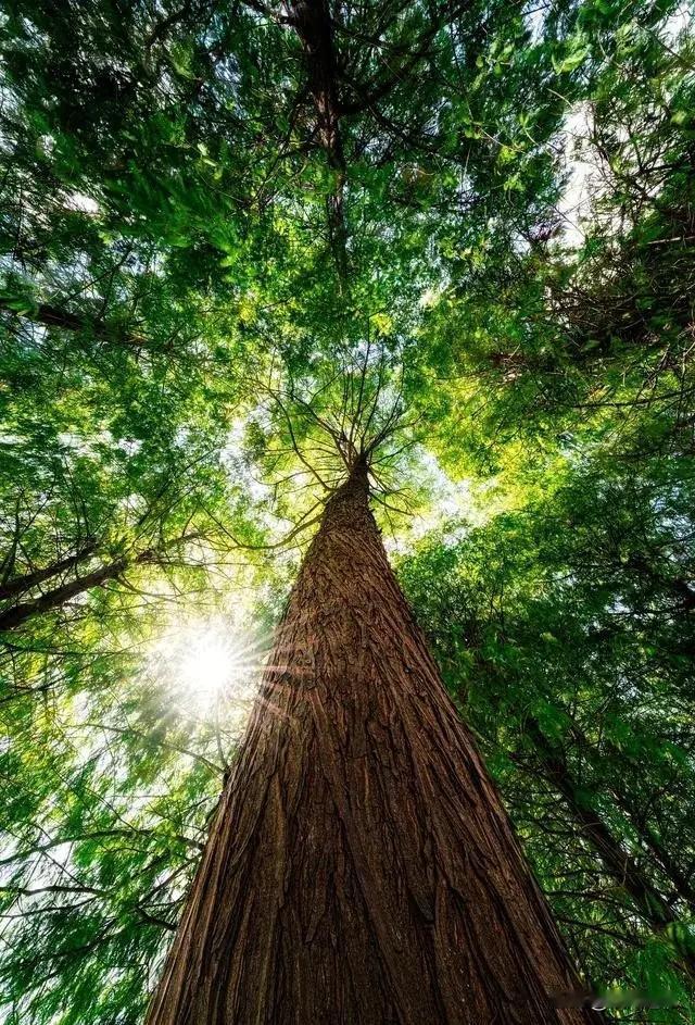 一位北大教授令人醍醐灌顶的话：
建议所有女人，
到了中年，
要想孩子跟妈妈更亲就