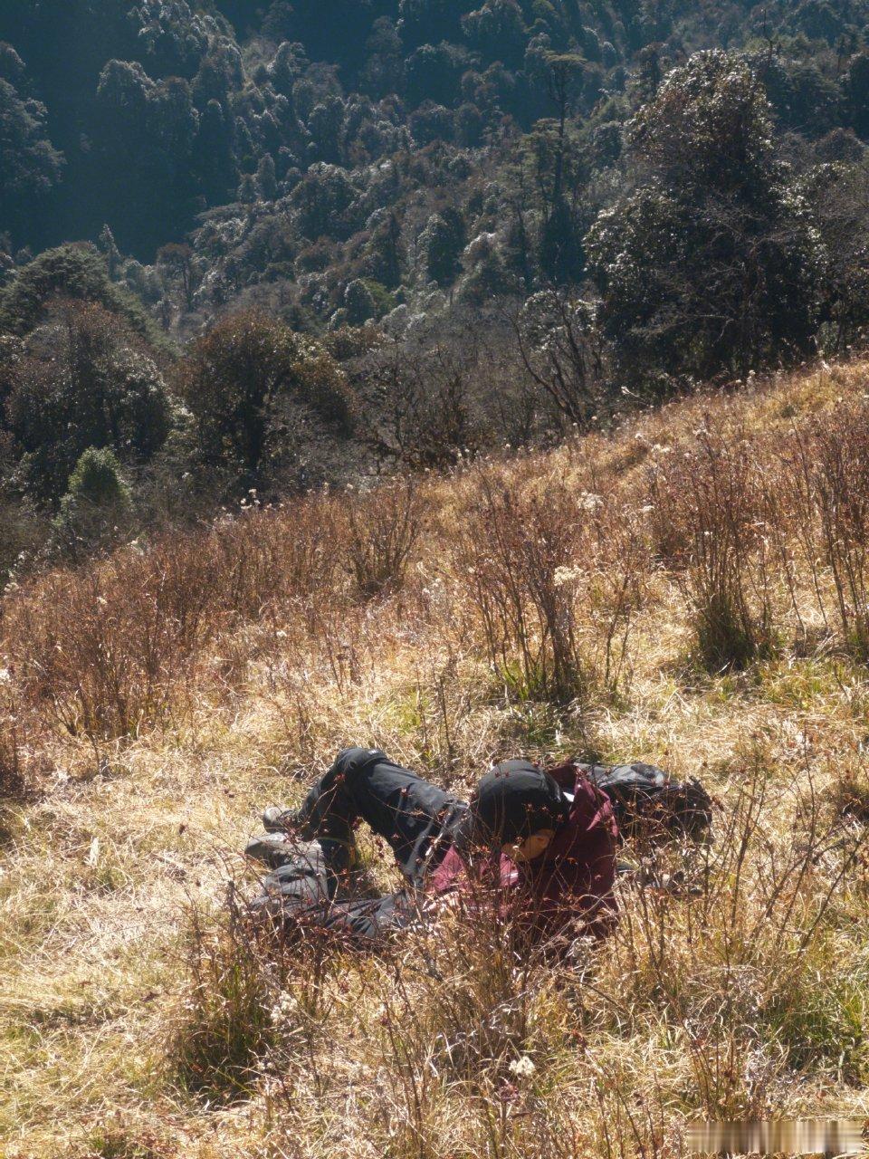 刘亦菲、李现《去有风的地方》开播3周年啦，是遇到许红豆、谢之遥的第三年啦，是谁还