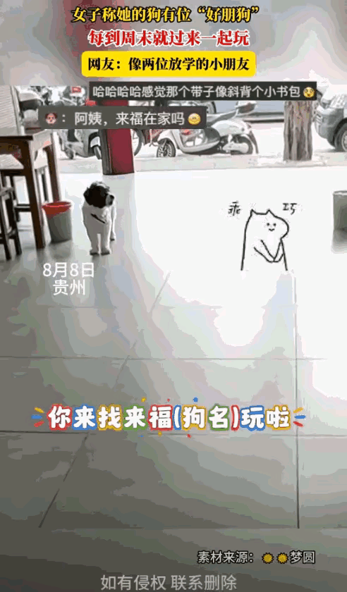 “太有灵性了！”贵州这女子瞧见一只狗来家里，喊楼上“来福，你朋友来找你啦！”
