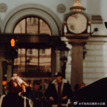 每日一善🌹阳光信用爱是一条只通往幸福的道路，即使弯弯曲曲，也要牵着对方的手一起