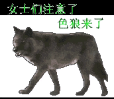 你们好 