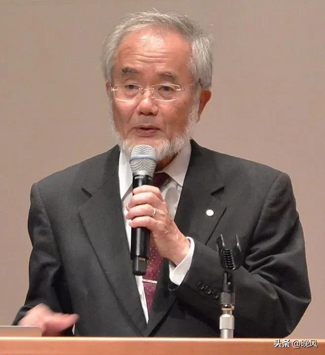 日本生物学家大隅良典因为发现了饿肚子时身体靠 "吃掉" 受损细胞来自我清理的机制