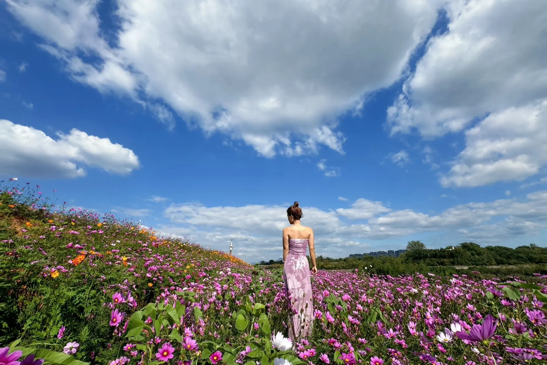 你总会开成独一无二的花