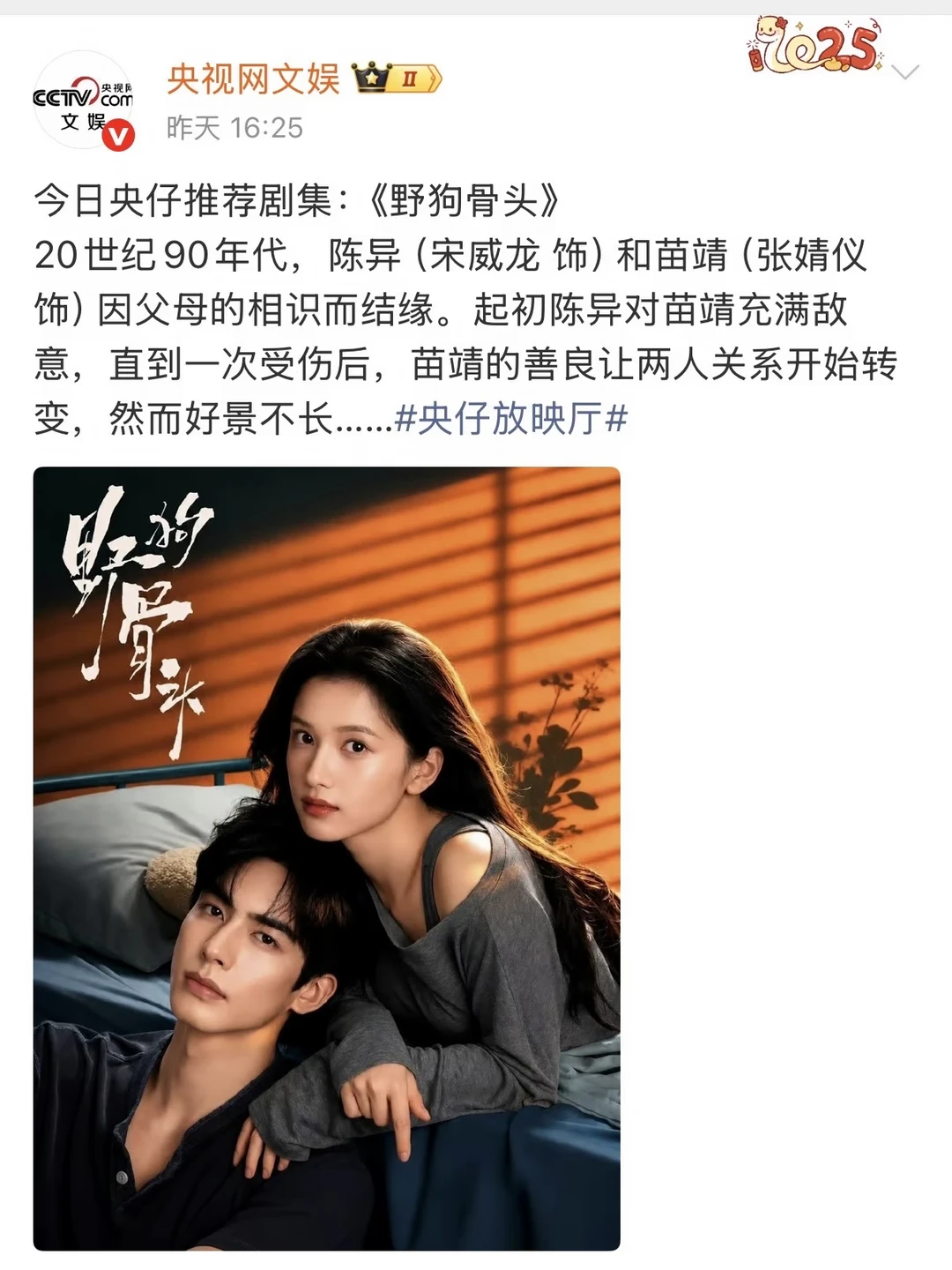 央视认证：好权威的两张脸！ 路人姐妹们，《野狗骨头》好看吗？