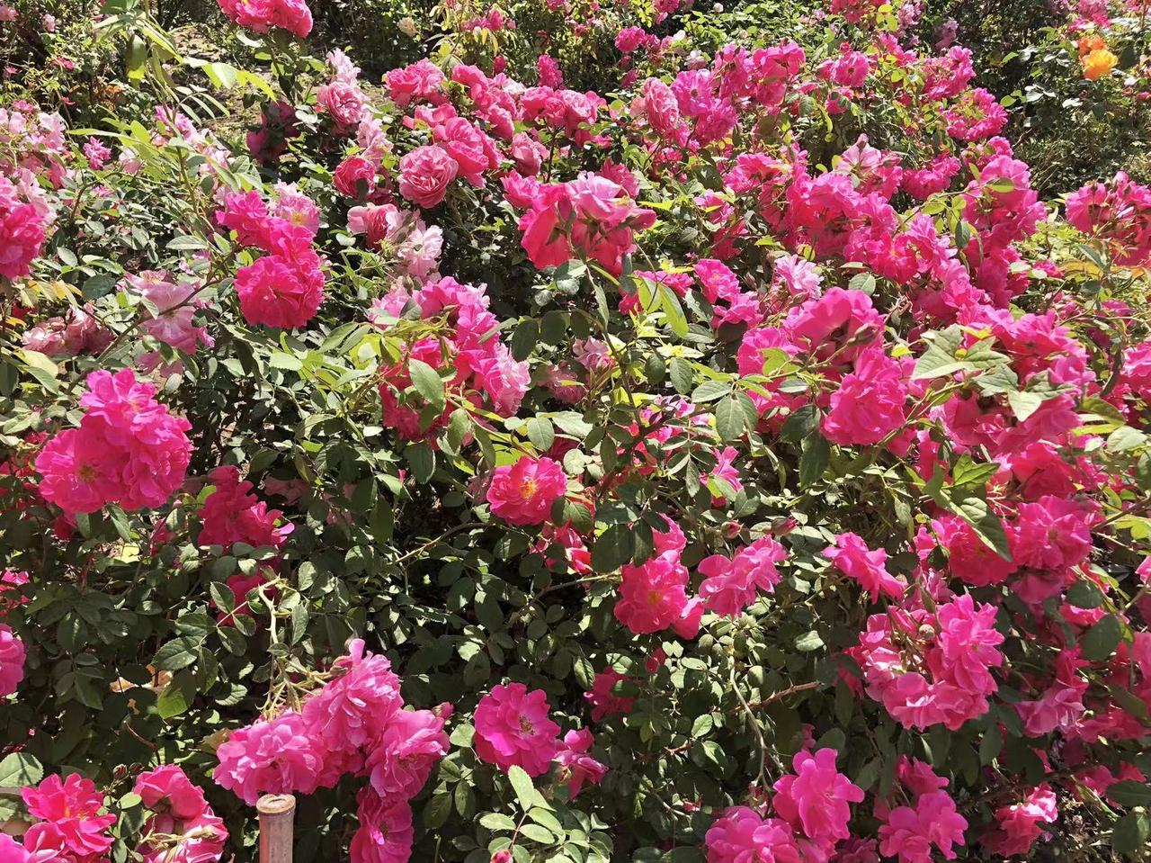 看淡人生,善待自己,你做到了吗? 看淡人生、善待自己，说起来容易做起来难啊。以前