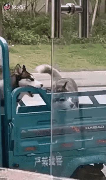 拆迁大队长怎么开始拆车了呢[灵光一闪]