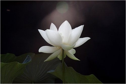 看的多了懂的就多了，体会的多了，联想的也就多了。情感丰富了，也就复杂了，矛盾了，