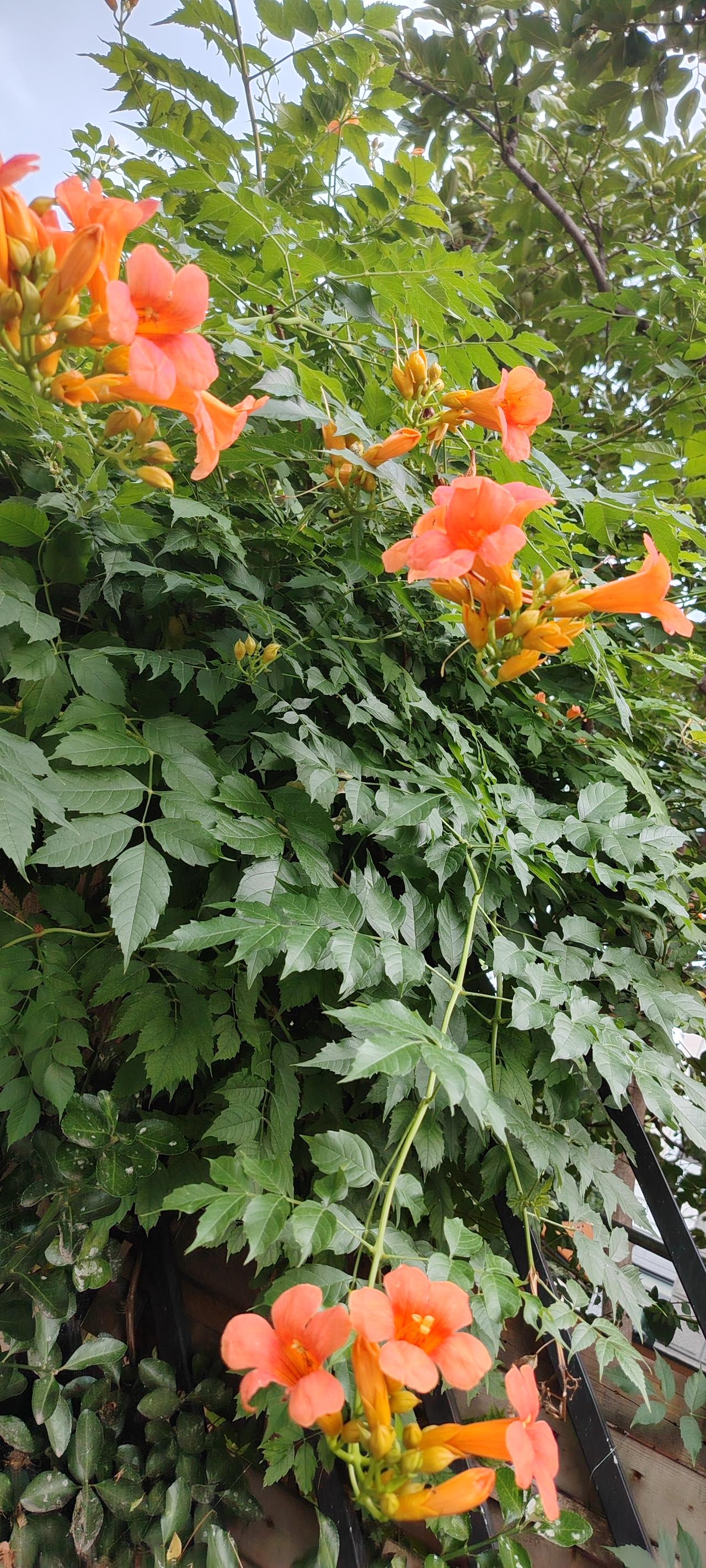什么样的人活的最幸福哈佛大学85年追踪研究揭示，活得最幸福的人，往往拥有良好的人