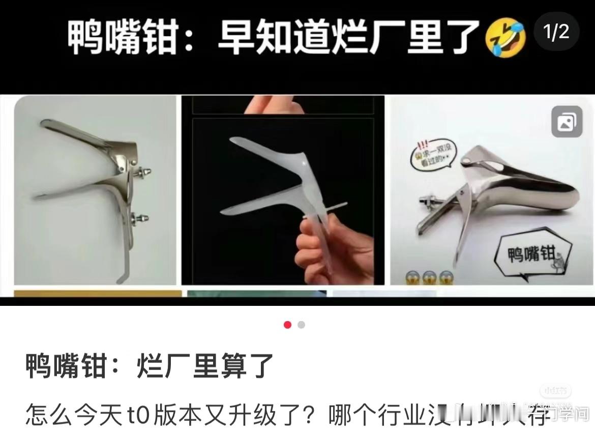 “虽然我们不用鸭嘴钳，但是我们要为鸭嘴钳发声”[拳头] ​​​