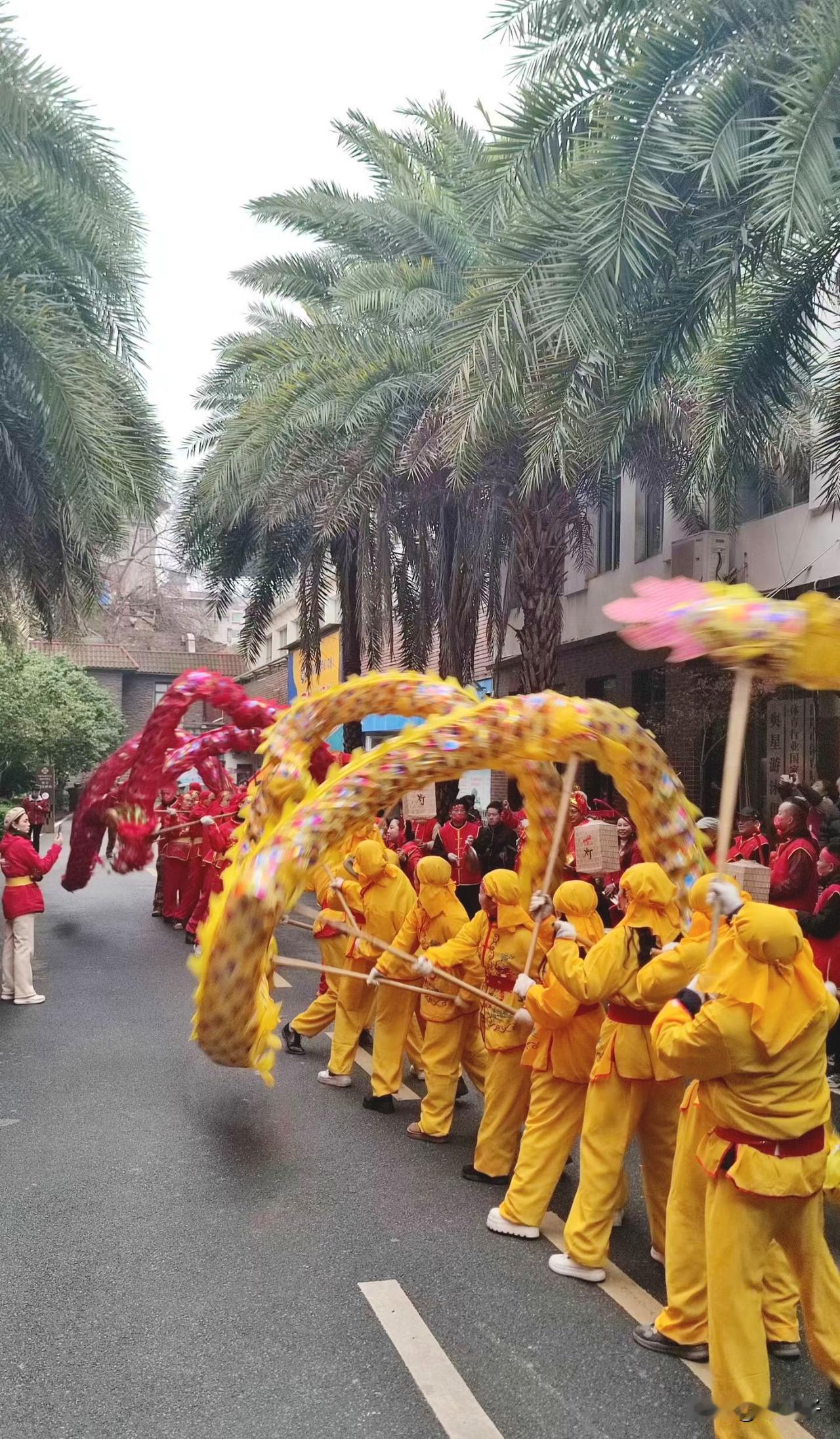 元宵佳节，街头二龙戏珠闹新春，祝大家岁岁安康