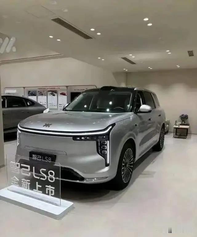 前阵子刷到汽车圈吵得沸沸扬扬，蔚来和理想为了主动悬架的技术优劣各执一词，网友也跟