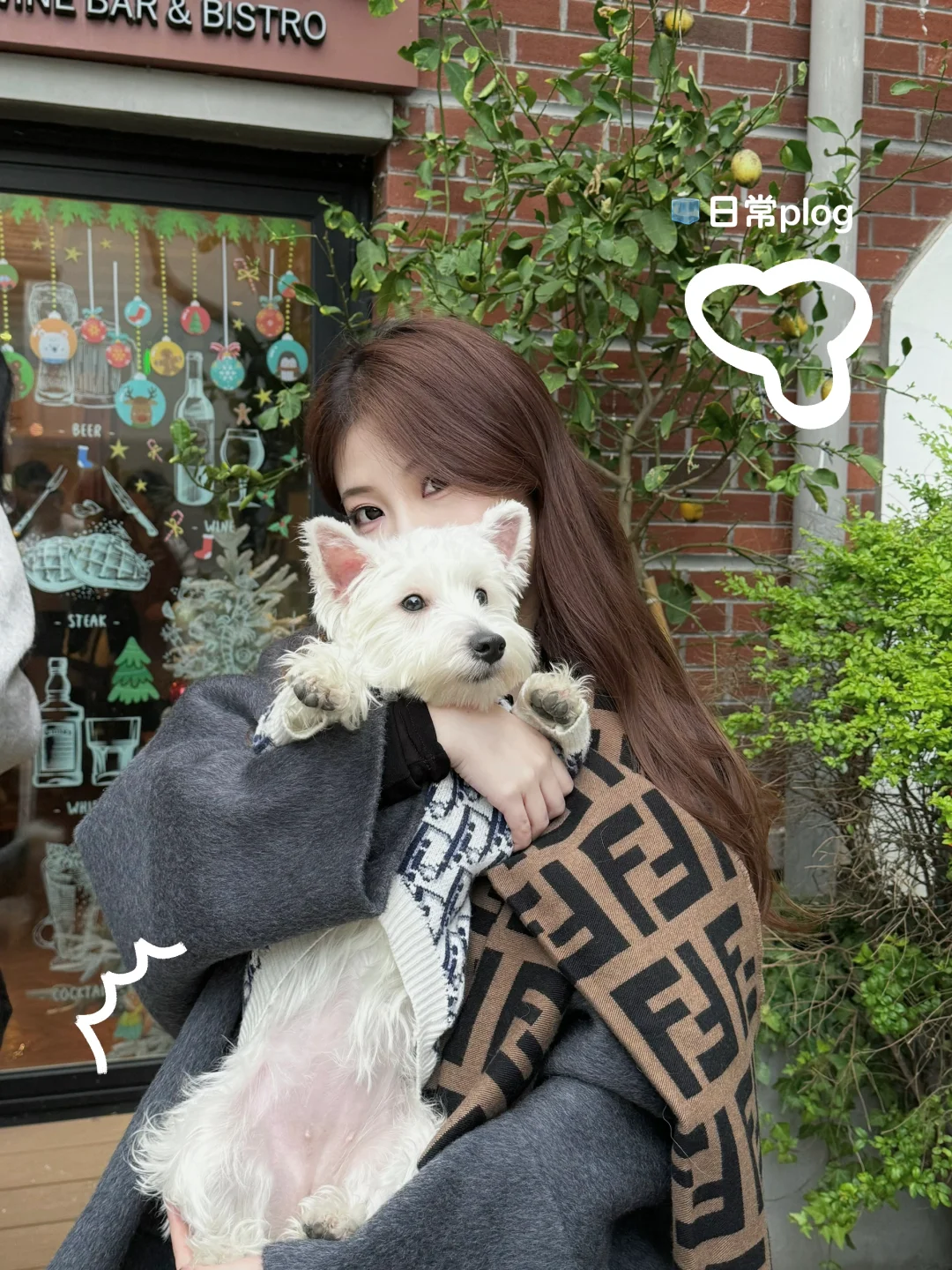 plog ｜成年人都需要puppy time🐶