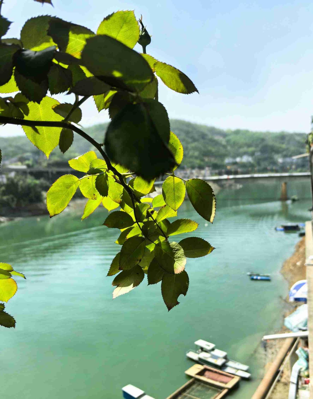 我的今日状态：😁轻松愉快
我这里的天气：☀️晴天