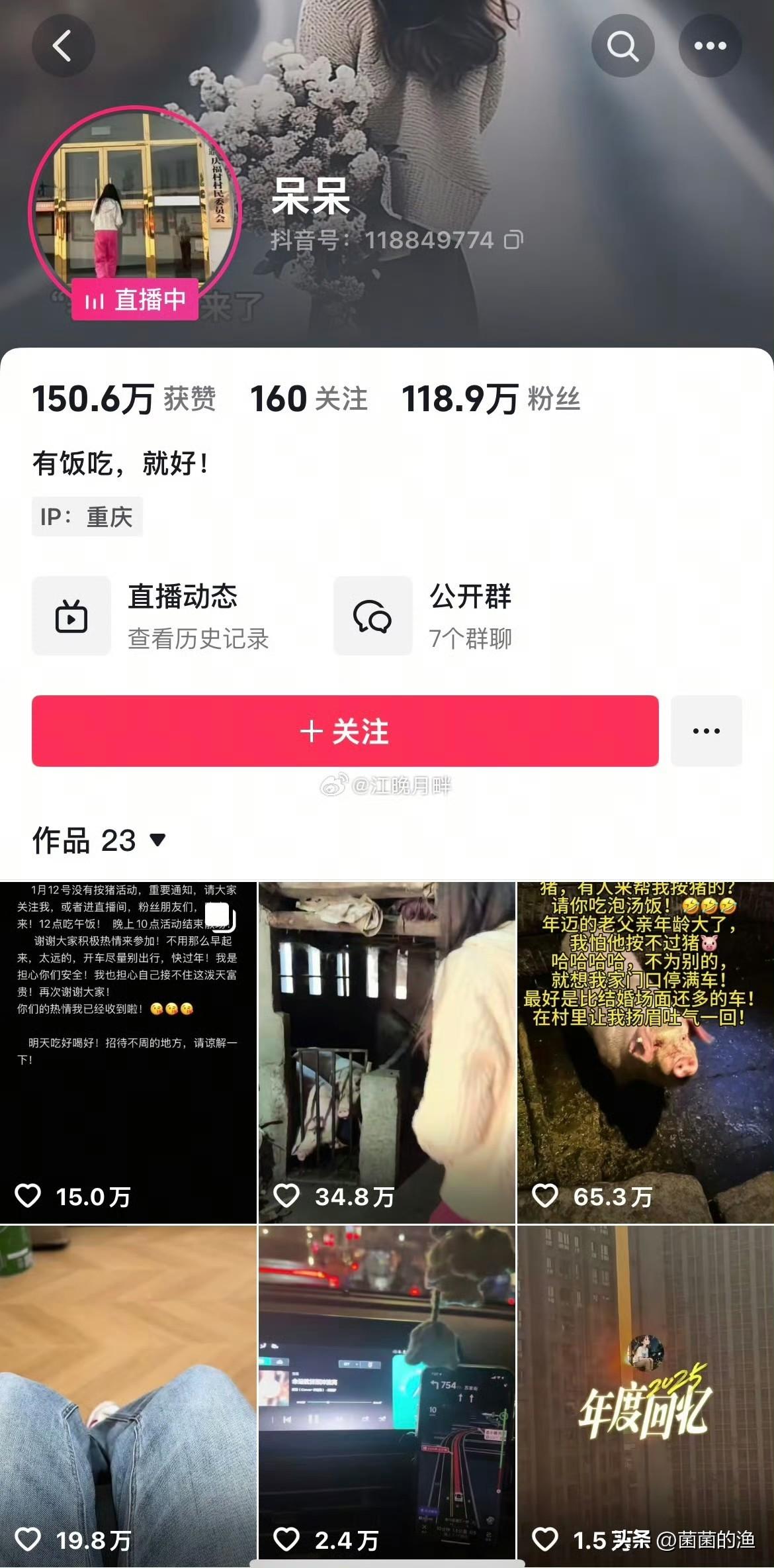 呆呆博主这次真火了！就因为猪相关的事儿，粉丝嗖嗖涨，直接破百万了。大家都好热心，