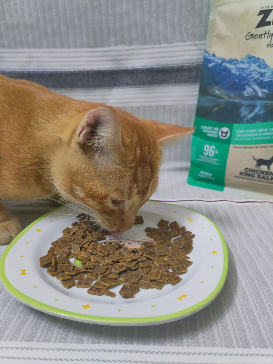晃动袋袋  猫猫来