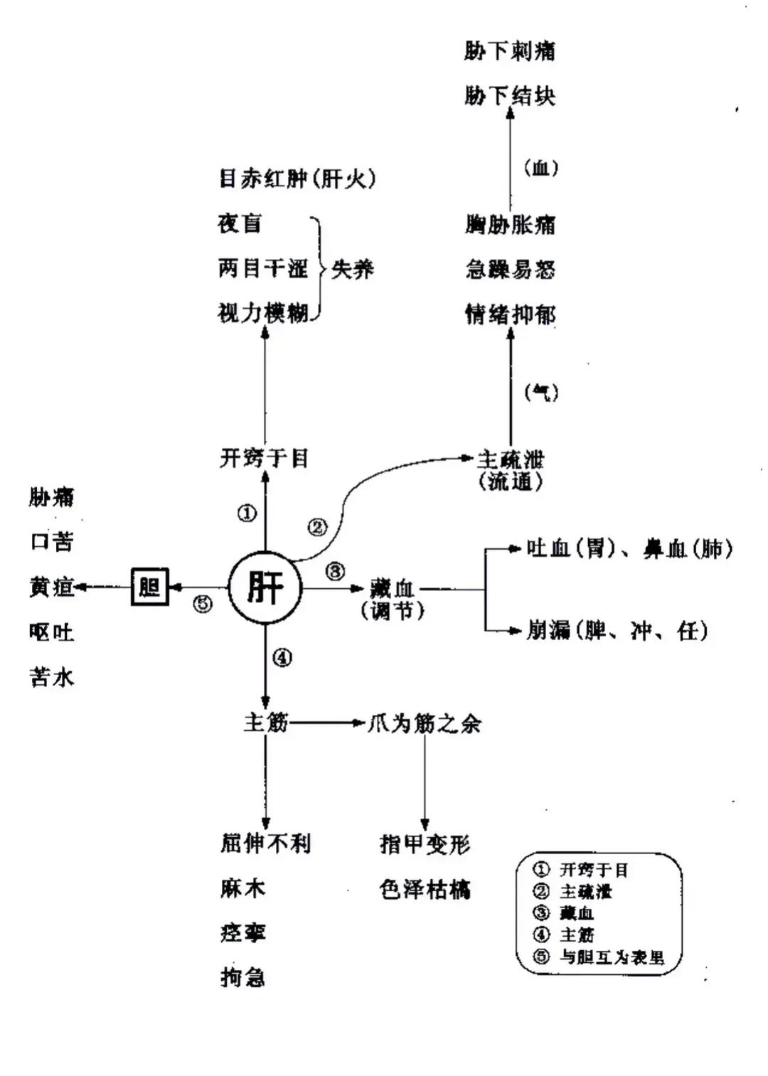 你是否常常为了一些常见的健康问题而烦恼？比如咳嗽、气喘、腹泻、多汗、干燥、疼痛、