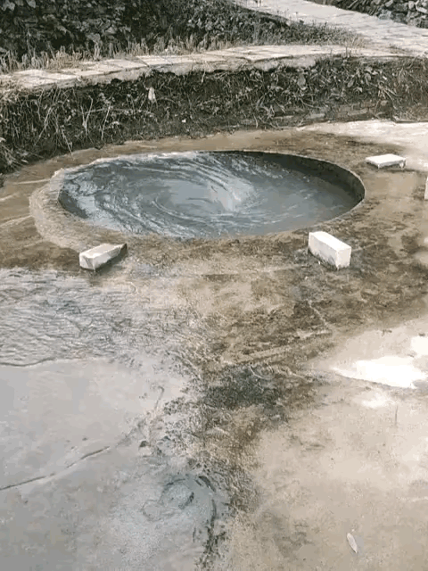 看到这口井的人，12月23日报道，都要发财了，这一口井的水是活水，自动晃动能溢出