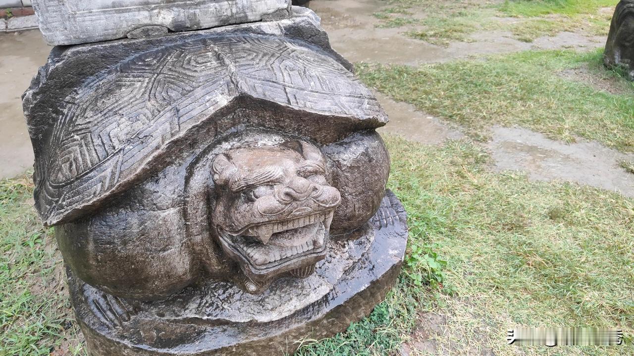 #秋日生活打卡季#