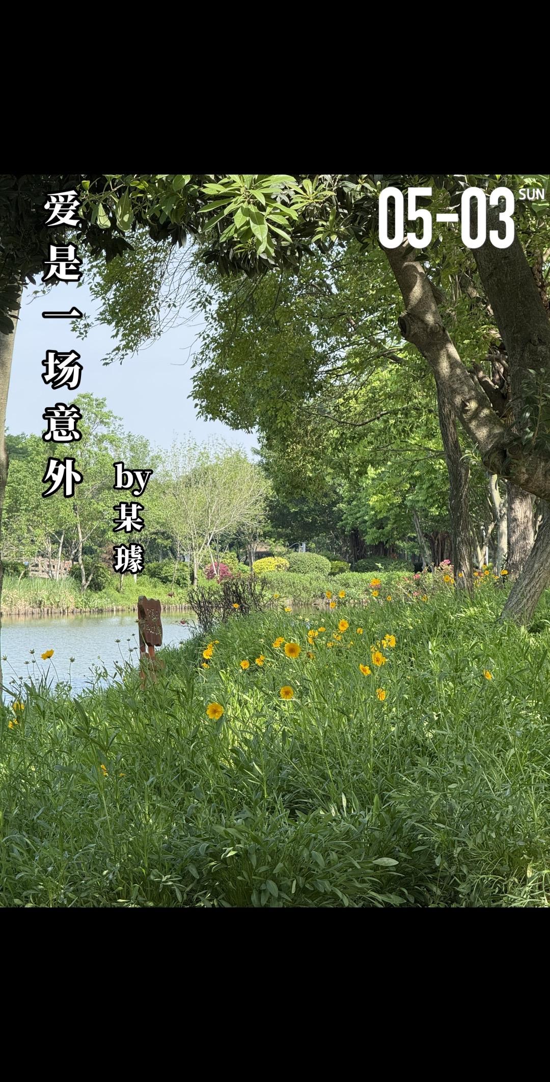 《爱是一场意外》by某璩。桑田（女主）和苏礼辰（男主）两人的父母是很好...