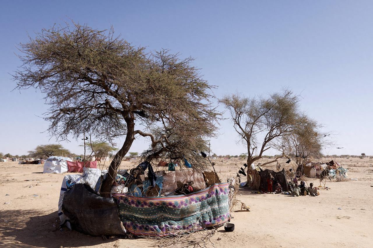 3月18号晚上乍得边境的蒂内小镇，突然闯进来一架无人机，二话不说就朝着居民区猛炸