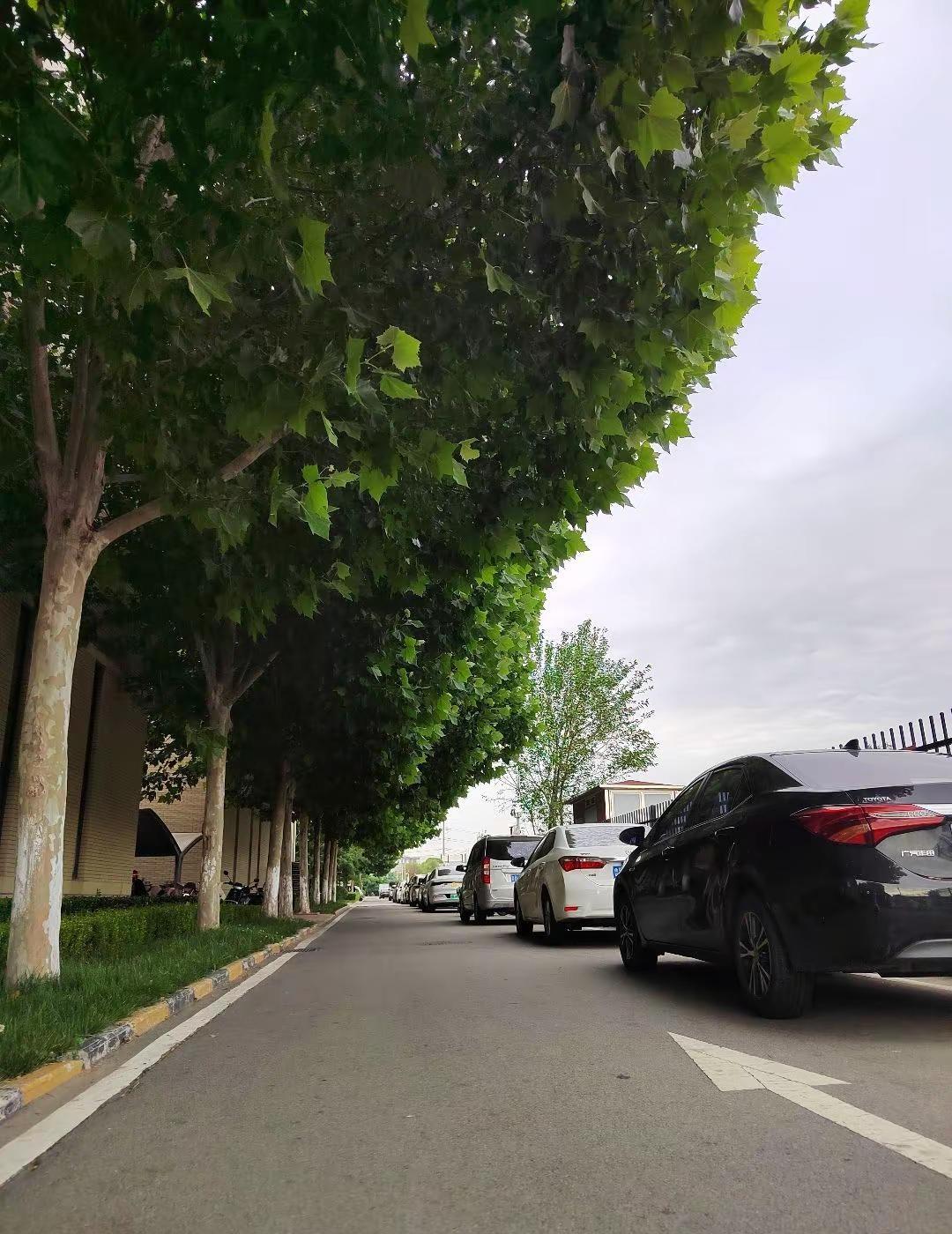 你看时间等过谁，周五就要立秋了，季节变换，来来往往，好多人忘了好多人，好多人代替