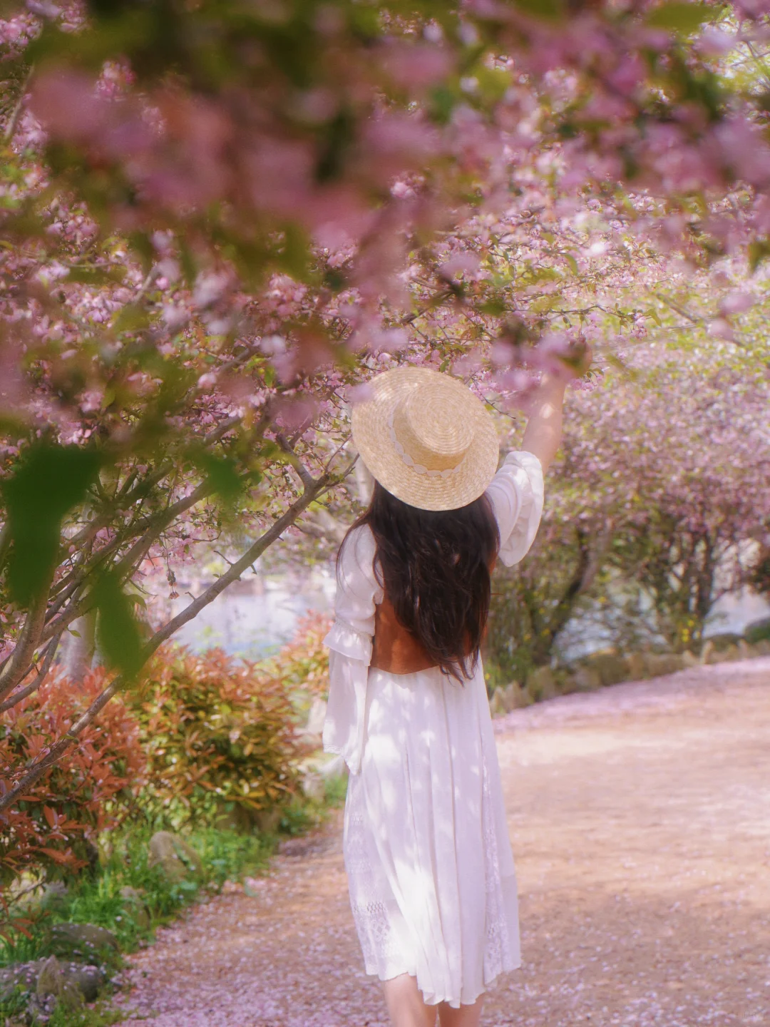 花开黄陂锦鲤土司城🌸土家风情美如诗画