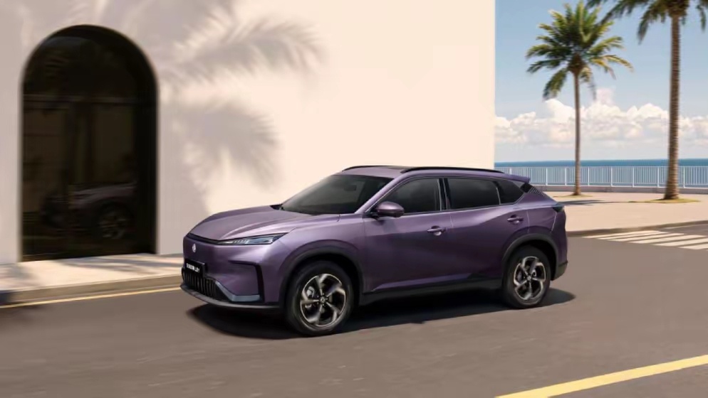 东风风神L8是13‑24万级家用插混中型SUV，主打大空间、冰箱彩电大沙发越级座