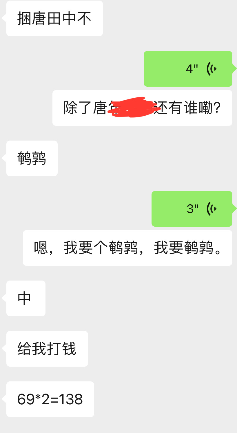 粽子宝宝我接你回家 