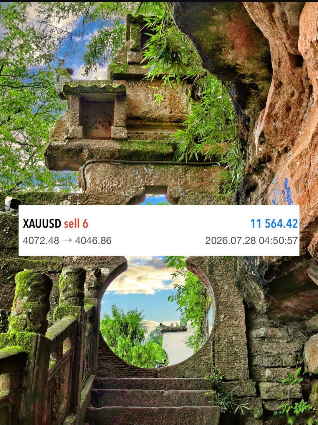 做空抓高点一定要抢先下手，好点位从来不会等睡懒觉的人。眼光、节奏全部在线，跟着阳