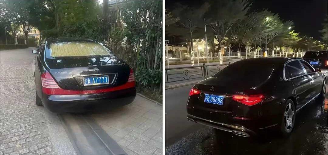 网友：同样都是迈巴赫，你觉得哪个车主更有实力呢？