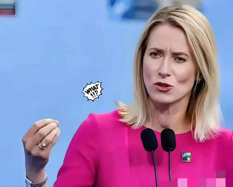 欧州第一傻， 欧盟外长卡拉斯北京时间18日在社交媒体发文：美国对格棱兰岛主权的索