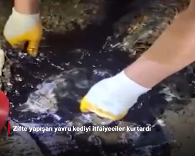【暖心救援！小猫被困沥青超一小时，消防员细心施救投喂食物】

说白了，再渺小的生