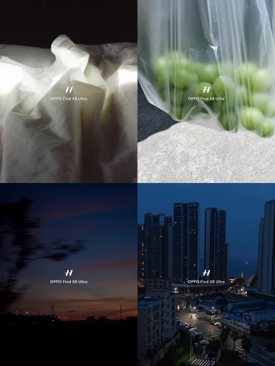 打动我的照片居然是随手拍