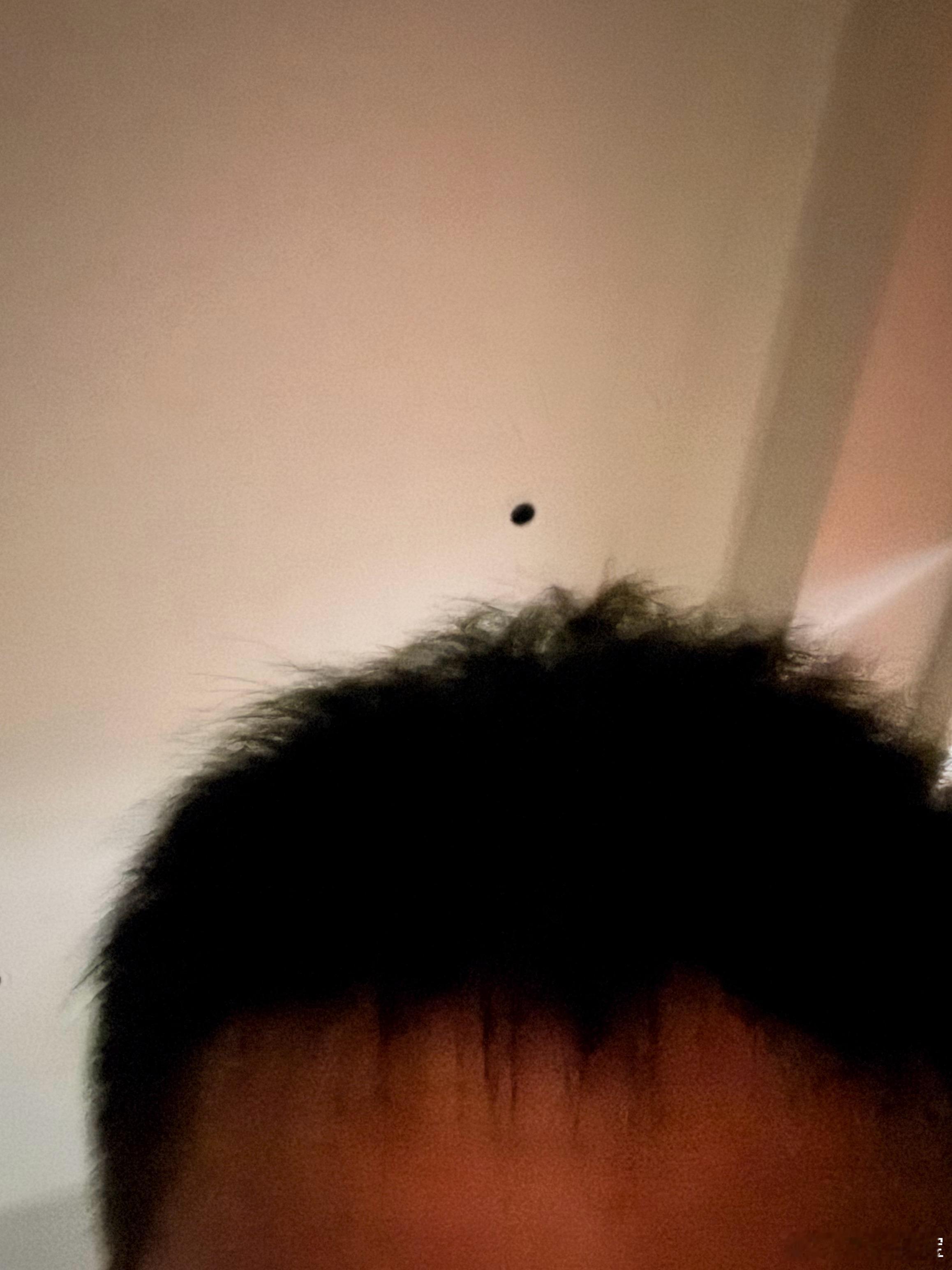 谁懂我 