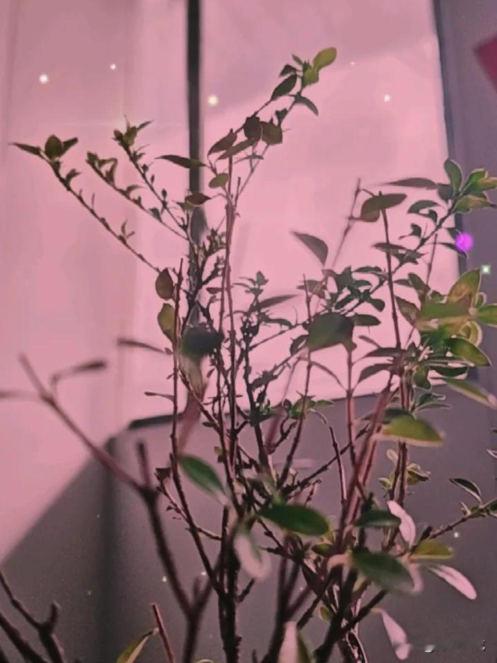 原来家里打扫卫生也是有讲究的，打扫时间不对，会把家里的财运带走。
从小就知道，家