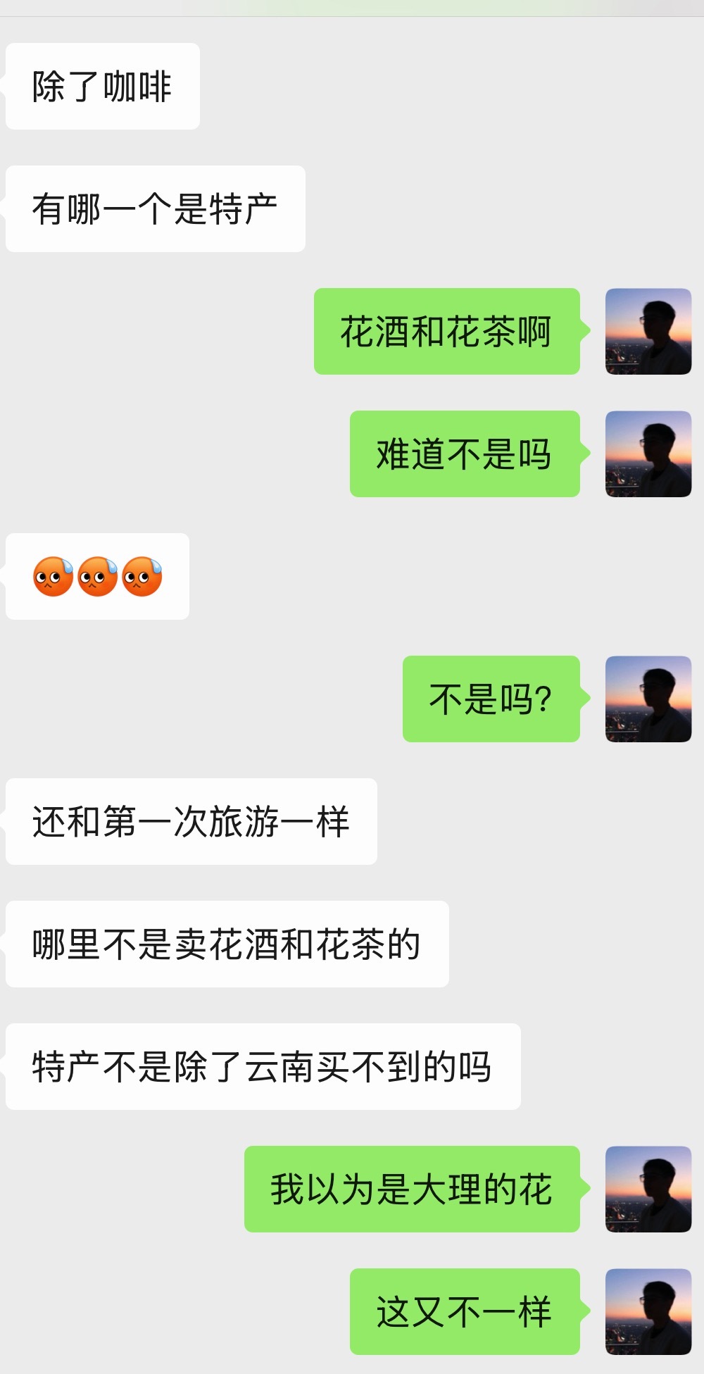 去一次就祛魅的旅游城市 好早以前没怎么旅游过，真的在大理古城买过几百块钱花茶、萝