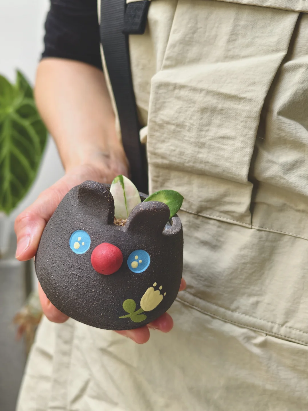 当植物遇见小兔子🐰被温柔包围啦