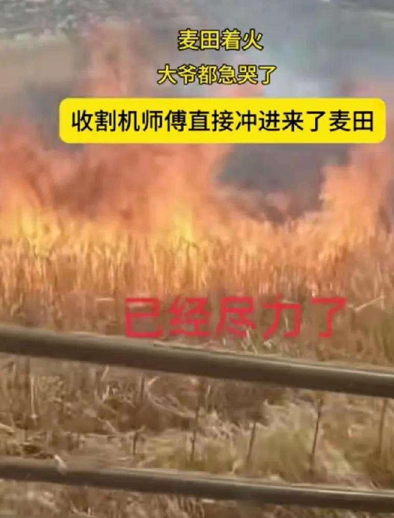 麦田火海前的生死抢收！这一幕让全网泪崩了...
 
火舌舔着金黄的麦浪，60多岁