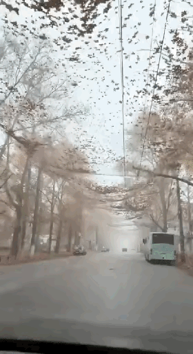 突发奇想，用渔网反无人机！
乌克兰赫尔松居民的天就被这渔网给罩住了，一抬头看见渔