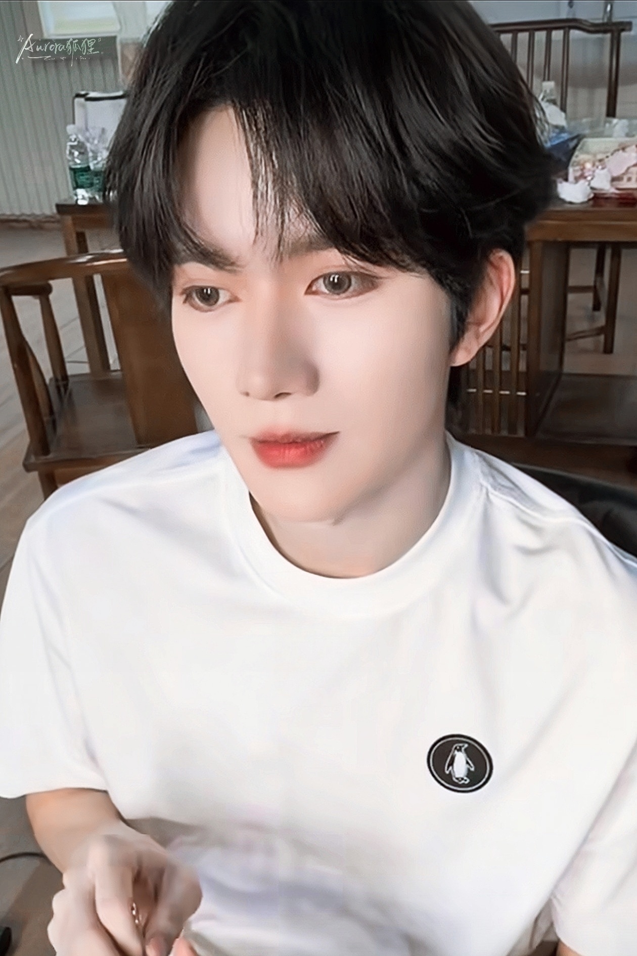 黄星星素小猫诶～[春游家族][春游家族][春游家族] ​​​